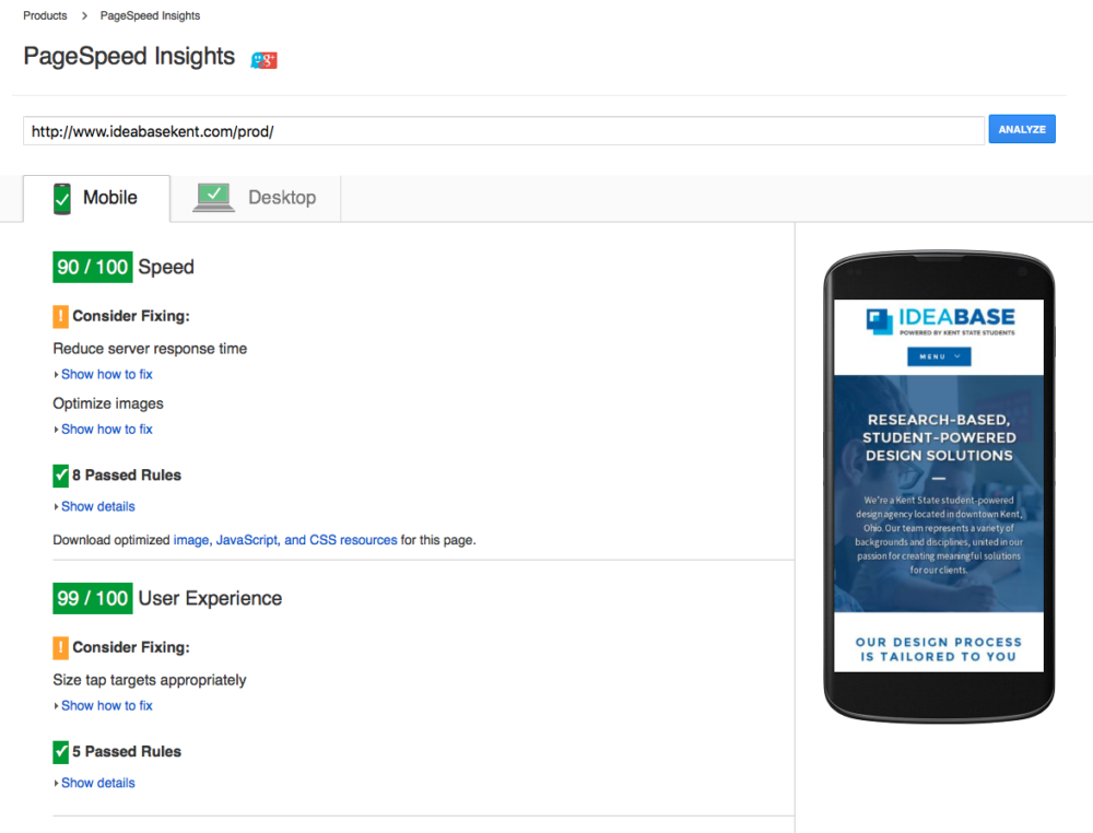Great Performance Results in Google PageSpeed